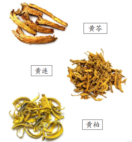 清热解毒说三黄-天津市武清区中医医院-站群网站发布